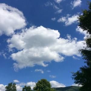 Meet your Posher, Sandy